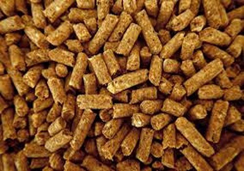 خرید و قیمت کنسانتره اسب اسپینا + فروش عمده 3